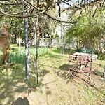 La Pineta Di Sinalunga, Vicino A Montepulciano E Val D'orcia 4*