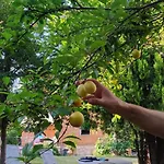 La Pineta Di Sinalunga, Vicino A Montepulciano E Val D'orcia Sinalunga