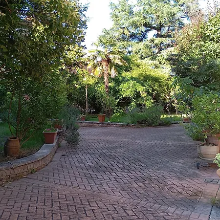 Maria Homes La Pineta Di * Sinalunga