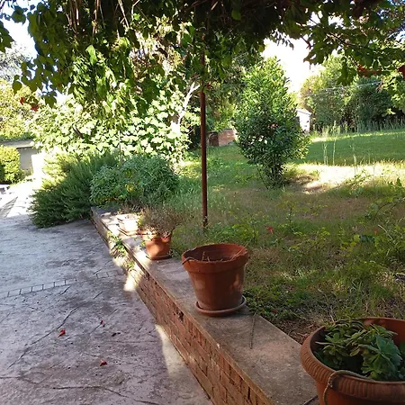 Maria Homes La Pineta Di Sinalunga