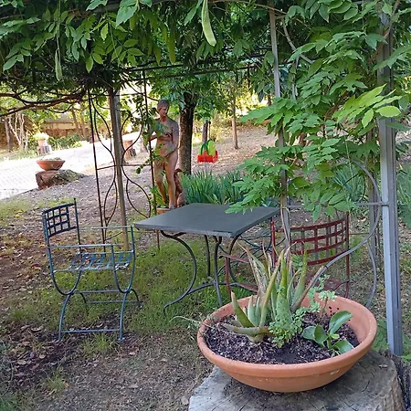Guest house Maria Homes La Pineta Di Sinalunga